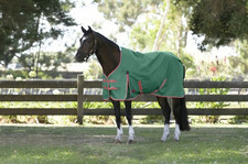 WeatherBeeta ComFiTec Turnout Rug Lite Standard Neck Green 6'9 81" USA 1200D