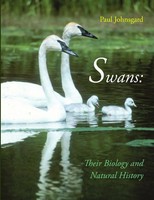 Paul Johnsgard | Swans | Taschenbuch | Englisch (2012) | Kartoniert / Broschiert