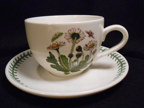 PORTMEIRION Botanic Garden Jumbo Large Soup/Chile Cup & Saucer - Daisy