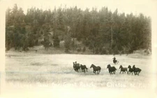 BC Canada Pollard 3 Bar Guest Ranch Clinton 1963 RPPC Photo Postcard 20-10876