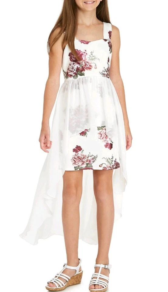 Vestido de fantasía con delantal de buceo de lámina floral de lentejuelas corazones grandes para niñas - talla 12 o 14 Foto 2 de 3