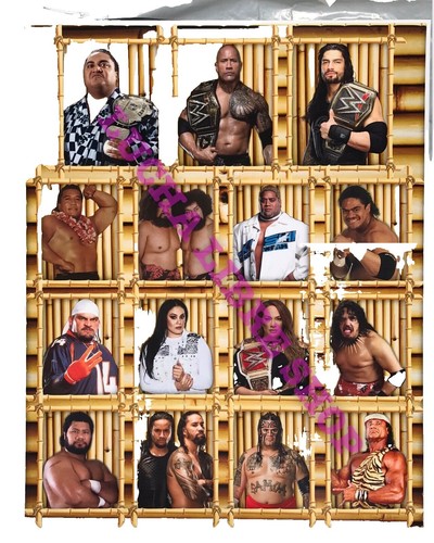 WWE Official Program 2015 - 2016 | Köp på (653523474