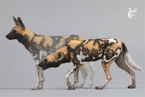 Dafei African Wild Dog Scene Statue Lycaon Pictus Animal Collector Decor Model - Picture 5 of 15