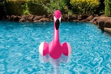 Poolmaster 81432 Floating Swimming Pool Décor and Backyard 28-", Flamingo 