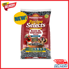 Pennington Recipe Selects Black Oil Sunflower Seed Dry Wild Bird Feed 40 lb Bag