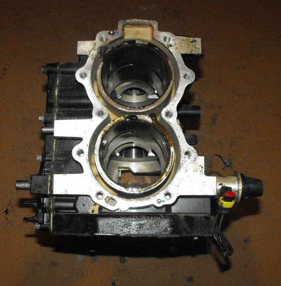 Evinrude 25 HP 2 Stroke Cylinder & Crankcase ASSY PN 5008167 Fits 2009 And Up - Image 3 of 4