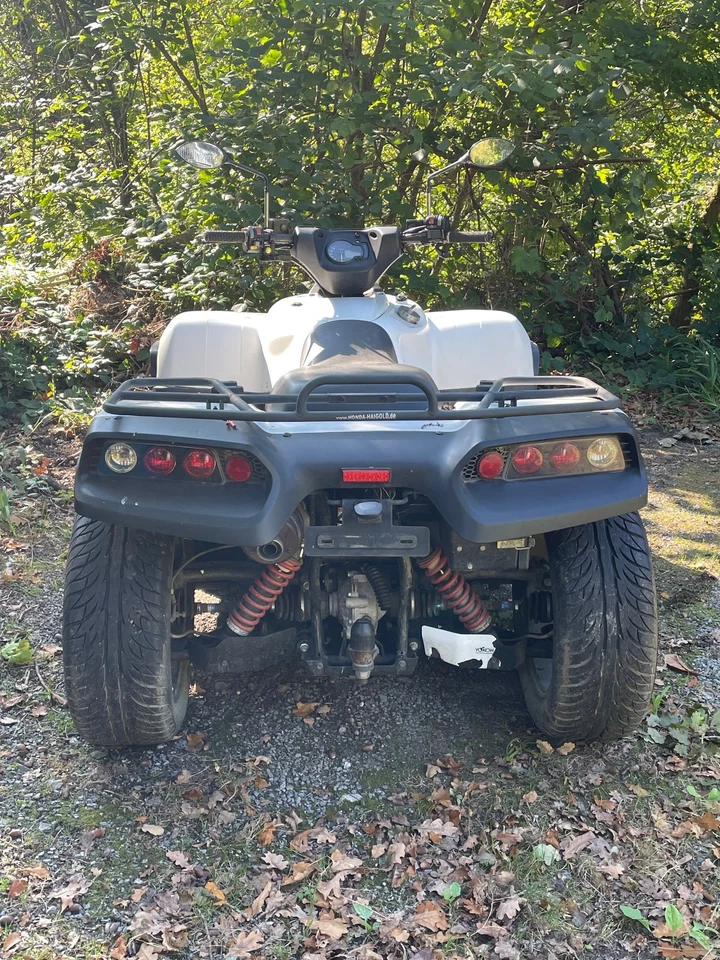 Herkules Cectec Quadrift T4 mit LOF Zulassung 500cc Quad Sportquad Straßenquad - Bild 4 von 4