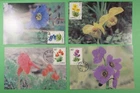 DR WHO CHINA PRC 4 FDC MAXIMUM CARD FLOER R62567