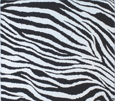 Wyoming Traders Wild Rag Charmeuse Zebra Print Silk Western Scarf - 34.5"