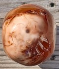 Foto 6 di 6