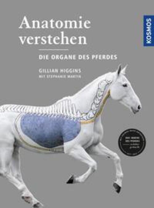 Thumbnail - Anatomie Verstehen - Die Organe Des Pferdes | Gillian Higgins | Buch |