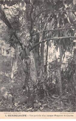 GUADELOUPE - SAN27483 - Teilansicht eines Kakojers - Anwesen St. Charles