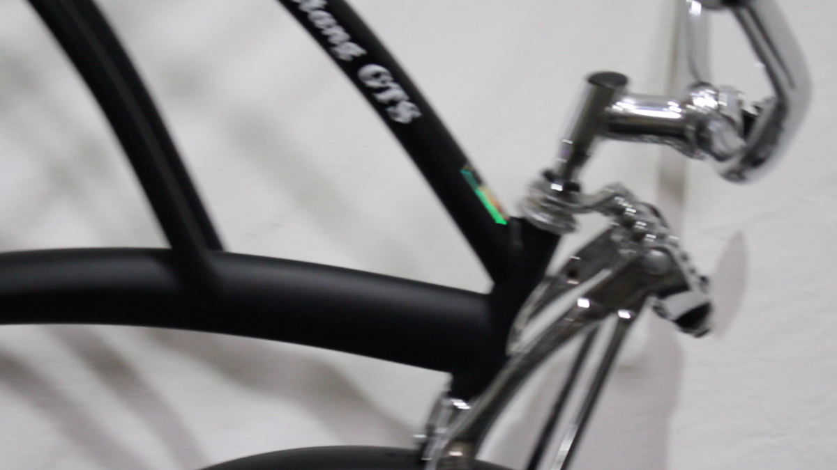BICYCLE Black Tiger5種 black-black-black-2.jpg