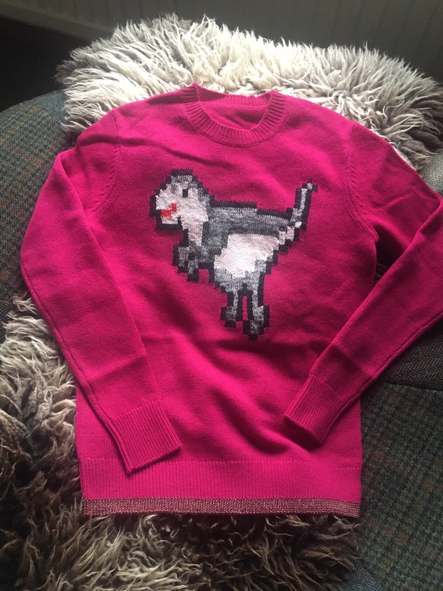 Coach shop dinosaur sweater
