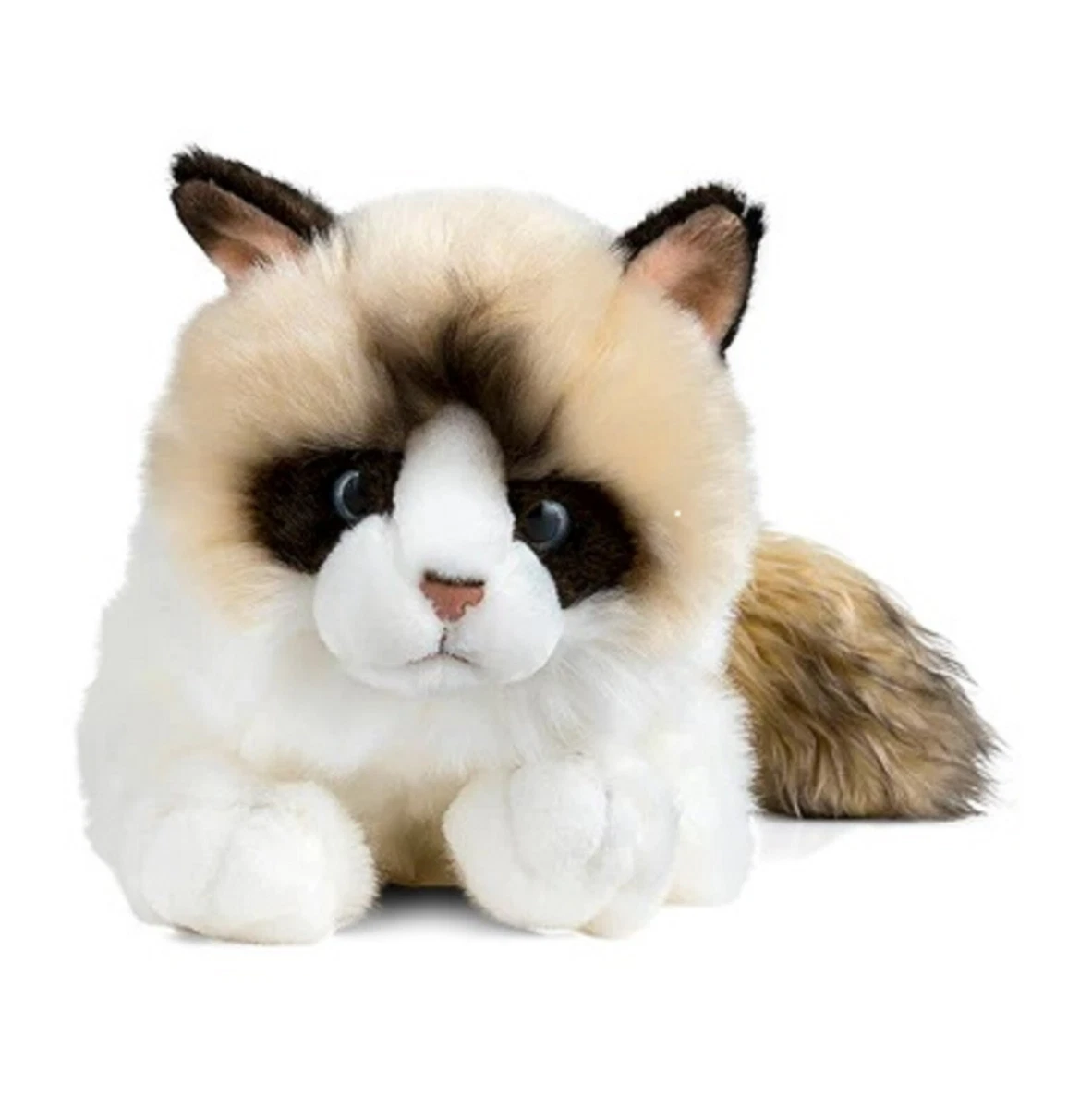Ragdoll teddy sales