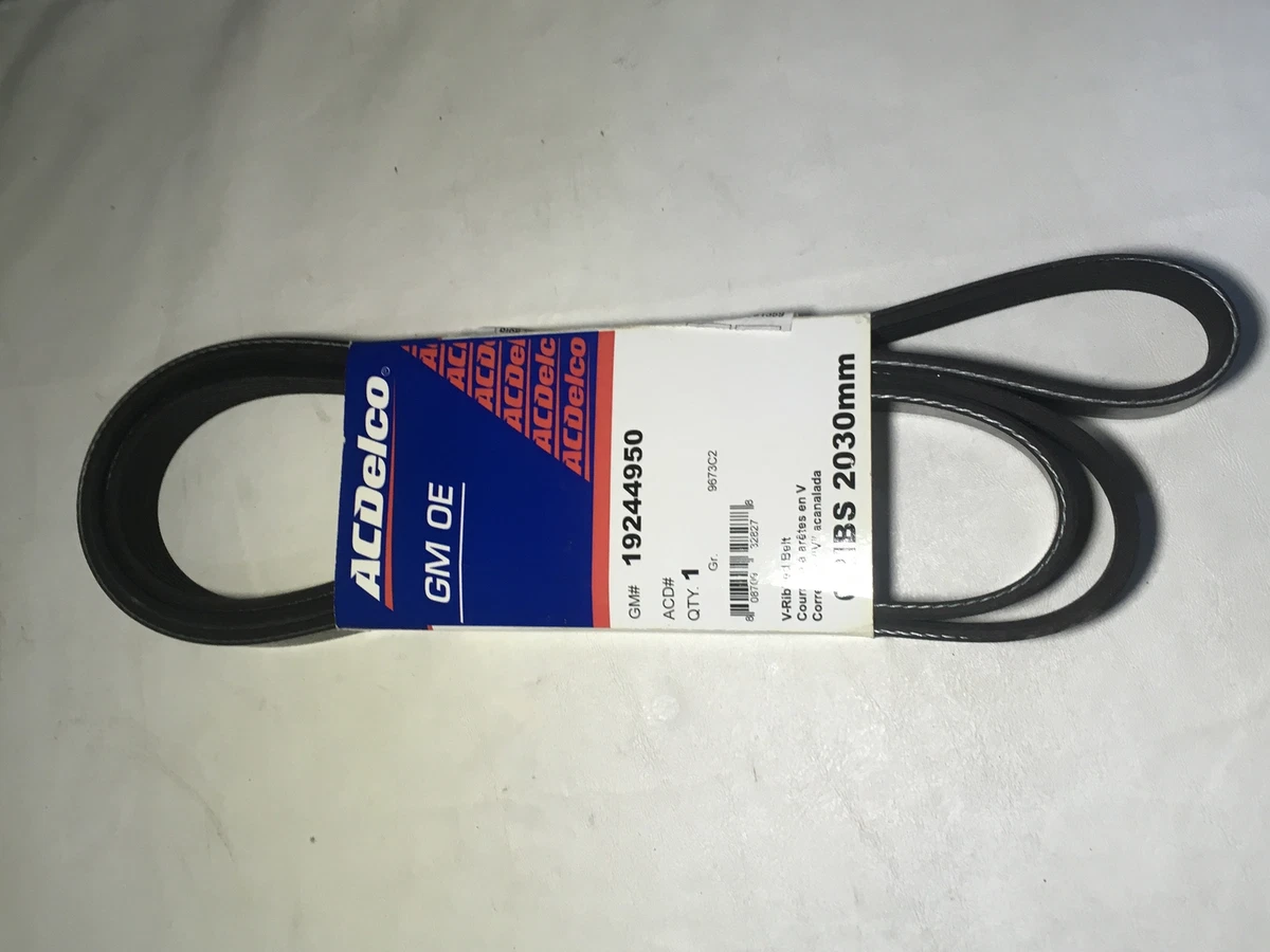 GM OEM-Serpentine Belt 19244950 | eBay 