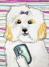 Coton de Tulear Dog Selfie Giclee Art Print 13 x 19 Signed by Artist Ksams