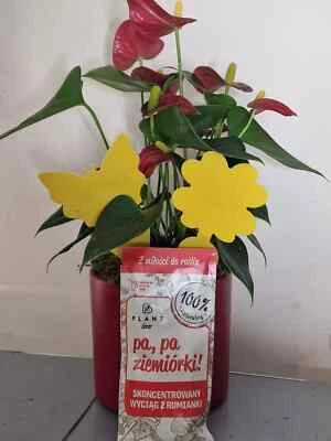 Naturalnie preparat PA PA ziemiórki 50ml Biopon Bros Neemazal Agrecol