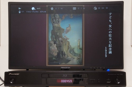 Pioneer BDP-X300 BD/DVD Player High sound and image quality with Remote Control - Picture 6 of 9