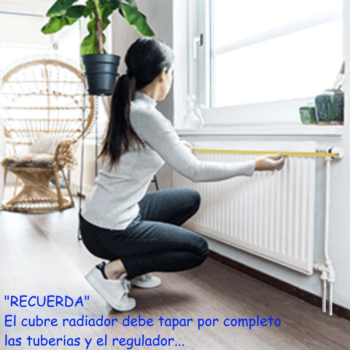 Imagen 7 de 67