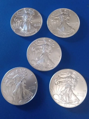 2013 Silver American Eagle 1 oz Bullion Coin Lot Of 5