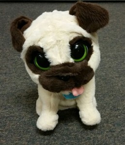 my jumping pug