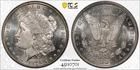 1879-S Morgan Dollar PCGS MS63 *BLAST WHITE/DIE POLISH GALORE*
