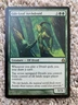 MTG Gilt-Leaf Archdruid (Morningtide)