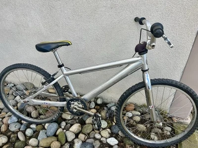 BMX Bike Chrome 24 in Wheel Bikes for sale | eBay