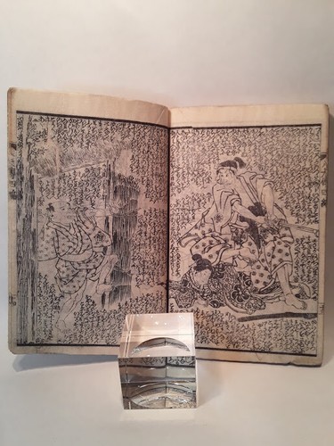 Par de libros Ukiyoe japoneses impresos en bloques de madera Meiji - Imagen 5 de 11