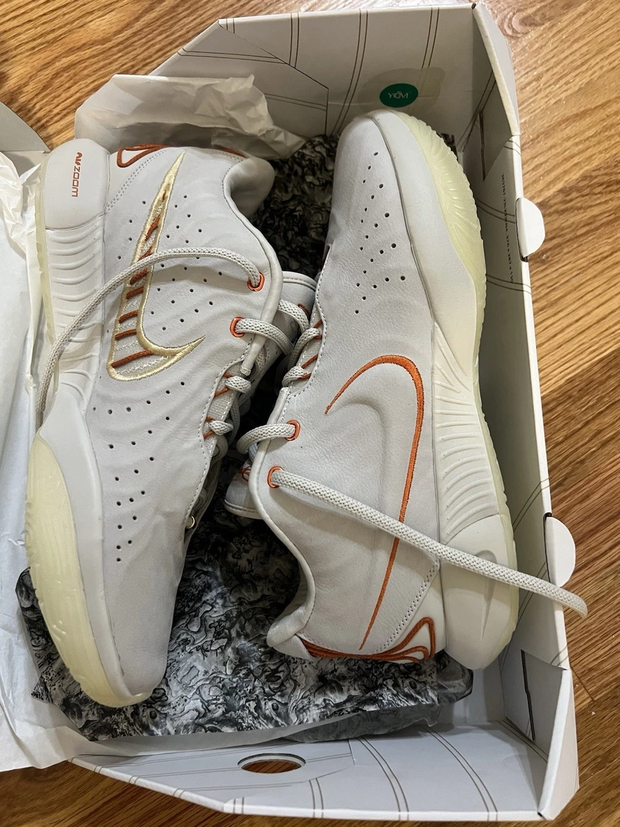 Nike LeBron 21 Akoya - FV2345-001 for Sale | Authenticity