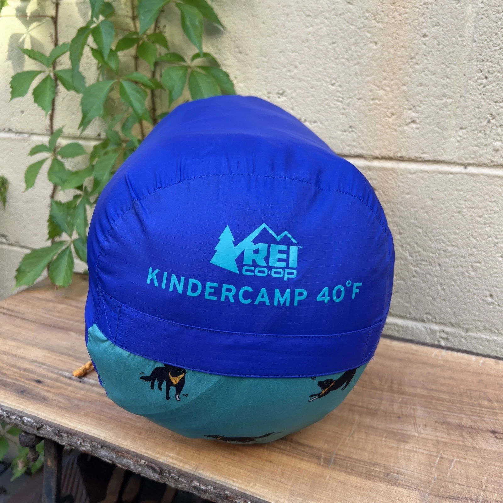 REI Co-op Kindercamp 40 Sleeping Bag Kids Blue