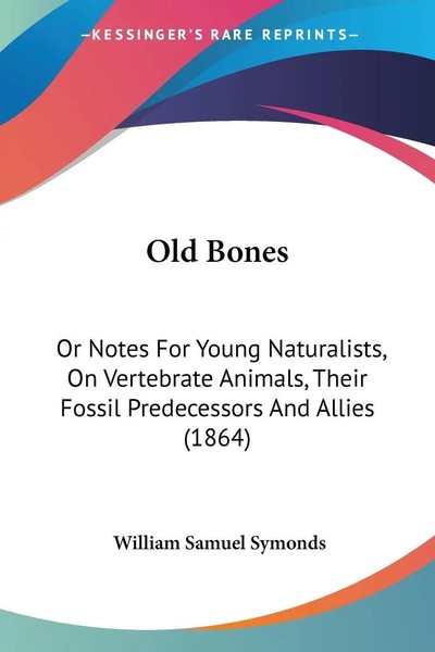 Old Bones William Samuel Symonds Taschenbuch Kartoniert / Broschiert Englisch-image