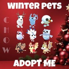 Popular Winter Picks 2019-2025 | Christmas Update | Cheapest + Fastest!