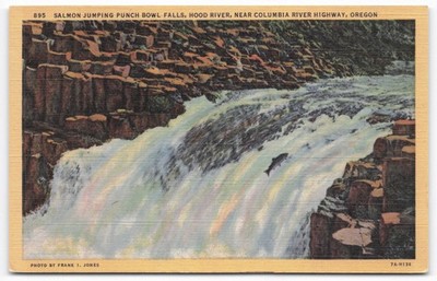 Salmon Jumping Punch Bowl Falls Hood River Oregon Linen Postcard C.T