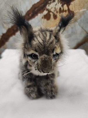 Sitting Lynx Cub Plush Soft Toy by HANSA  Creation 7  UK Handcrafted