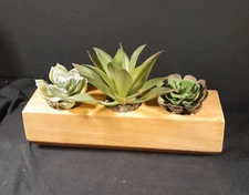 Project 62 Wooden Succulent Planter Artificial Decoration Home Decor