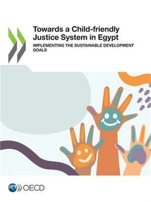 Towards a Child-friendly Justice System in Egypt (Paperback or Softback)