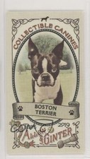 2019 Topps Allen & Ginter Collectable Canines Minis Boston Terrier #CC-24 0d2