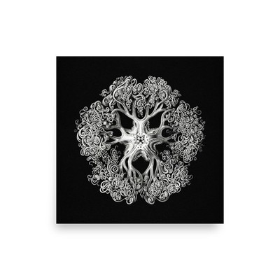 Ernst Haeckel Brittle Star Ophiuroidea Kunstformen der Natur Scientific Wall Art