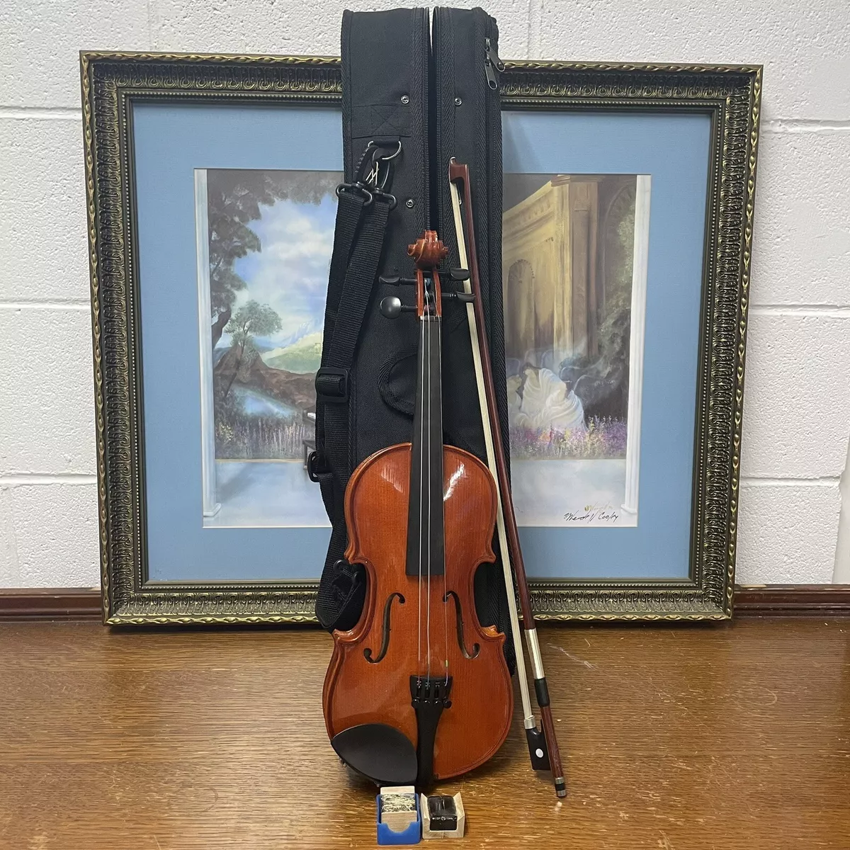 Franz hoffmann amadeus violin on sale price