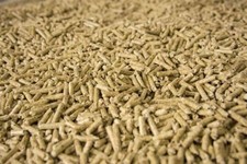 feline fresh pine pellets