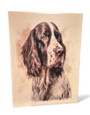 Spaniel Wall Art, Portrait, Dog Picture 13"×10".