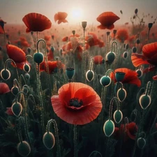 Digital image picture photo wallpaper background 195