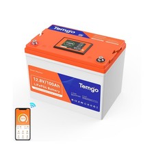 TEMGO 12V 100Ah Group 24 LiFePO4 Lithium Battery, Self-Heating, Touchscreen ...