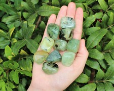 Prehnite with Epidote Tumbled Stones 1/4 lb ( 'A' Grade, Tumble) 4 oz