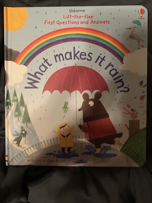 Usborne Lift-the-flap First Questions And Answers What Makes It Rain