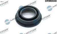 Dr.Motor Automotive DRM0848 Dichtung FüR DüSenhalter