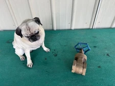 Ensign Gate Valve 2-1/2" Threaded Pipe Bronze Wt 125 lbs.