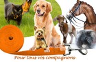 Bild 42 von 49